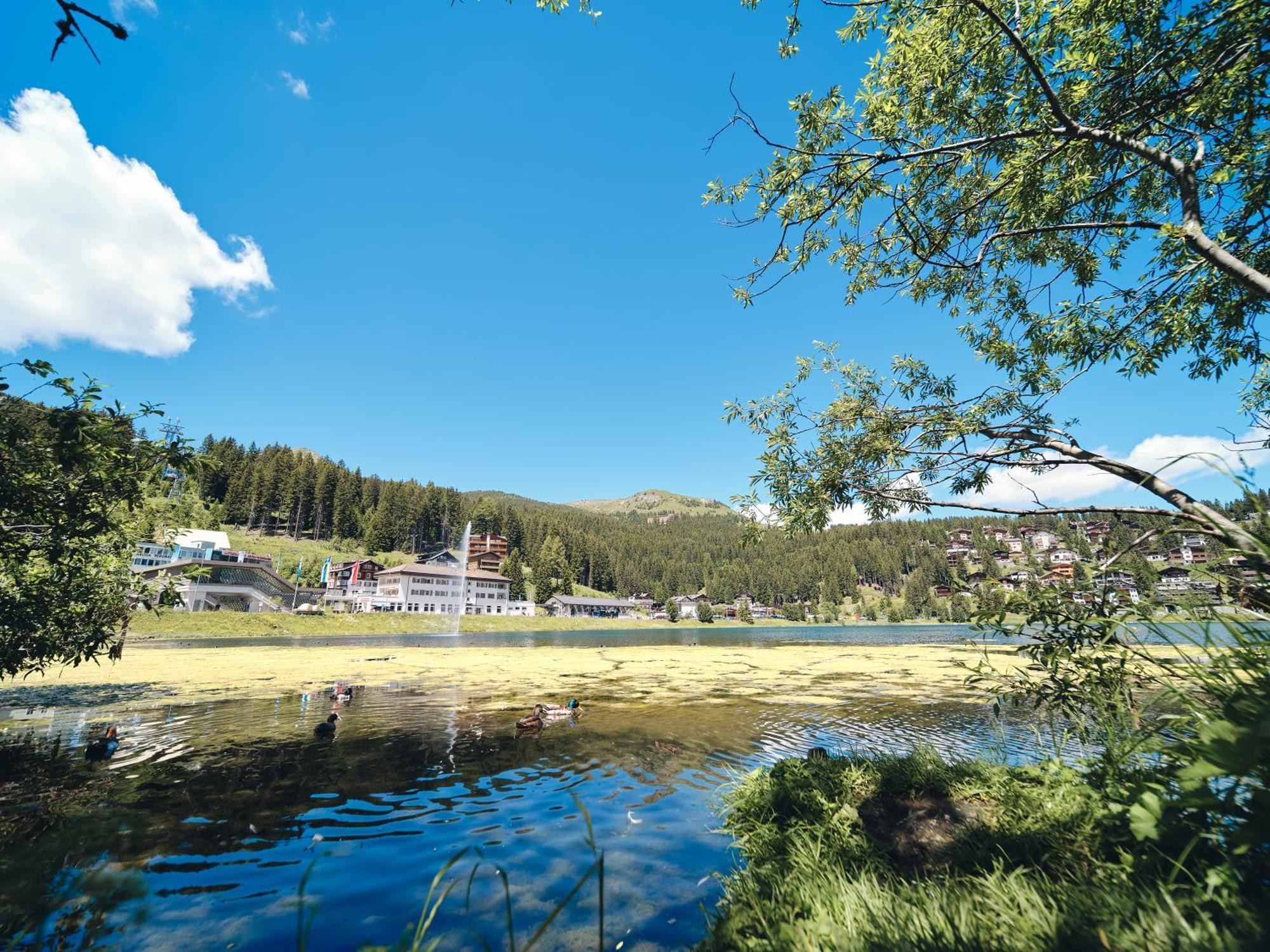 Appartamento Haus Padrun 8 By Arosa Vacations Esterno foto